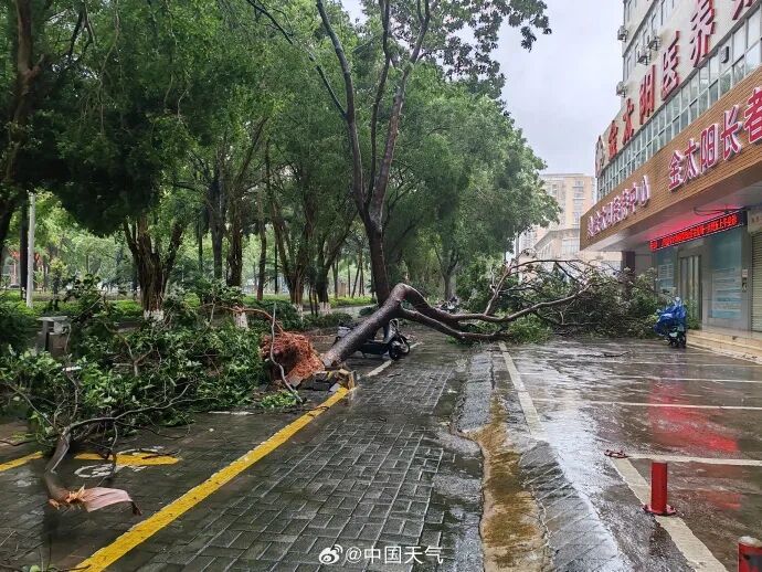 两个台风接力影响我国!“美莎克”余威未消,“巴威”已虎视眈眈 两个台风接力影响我国!“美莎克”余威未消,“巴威”已虎视眈眈