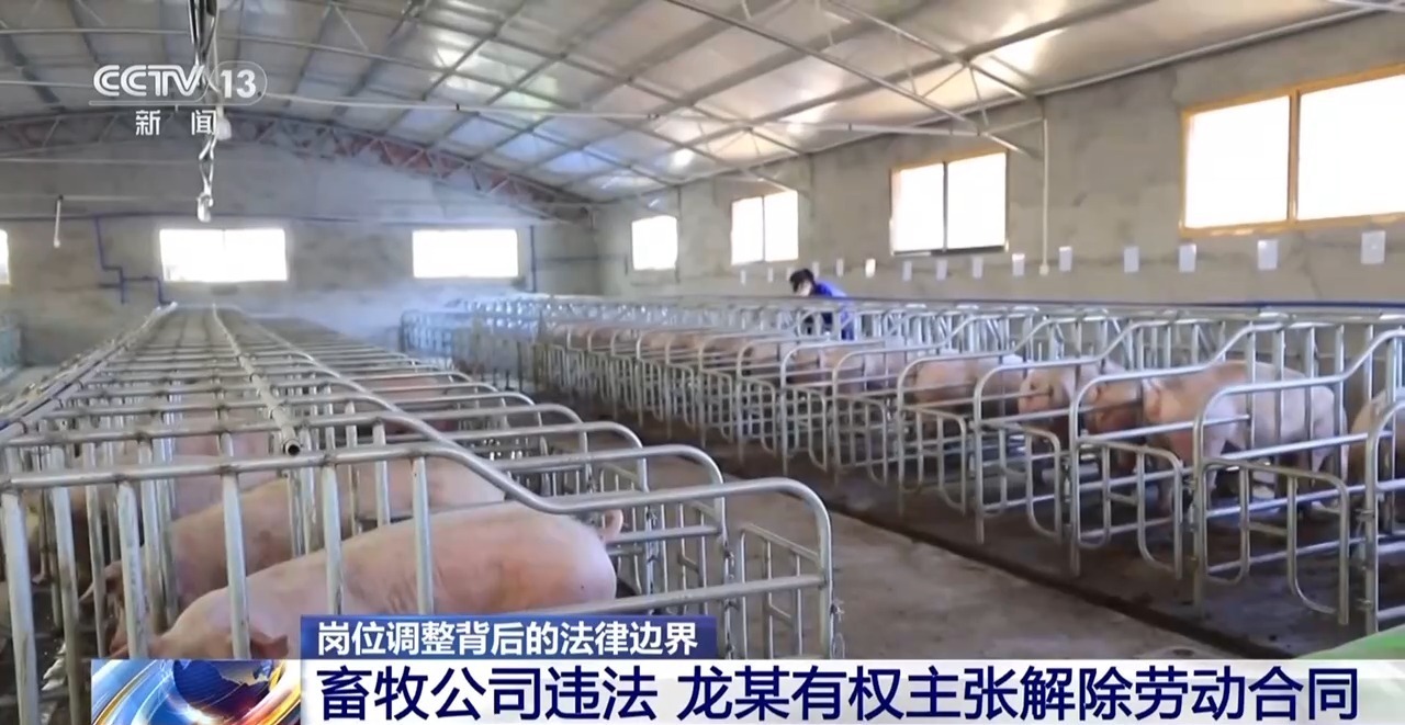 企业有“调岗自由”,员工有“拒绝权利”吗?这场官司告诉你答案 企业有“调岗自由”,员工有“拒绝权利”吗?这场官司告诉你答案