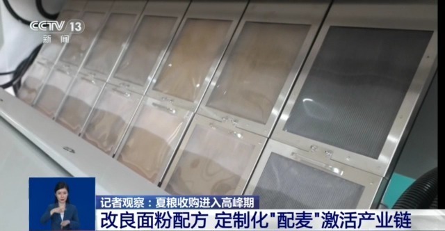 夏粮收购进入高峰期 市场有哪些新变化？