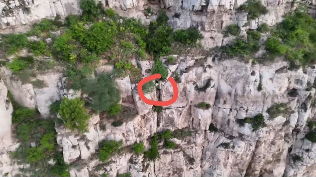 女子独自摸黑上山看日出，一脚踩空坠下百米高崖被卡岩缝中，幸运获救
