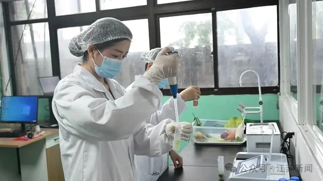 土豆白菜征战“苏超”？