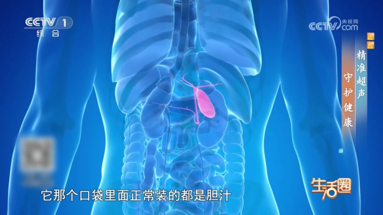 体检查出结节、息肉?先别慌!赶快对照这些关键指标自查→ 体检查出结节、息肉?先别慌!赶快对照这些关键指标自查→