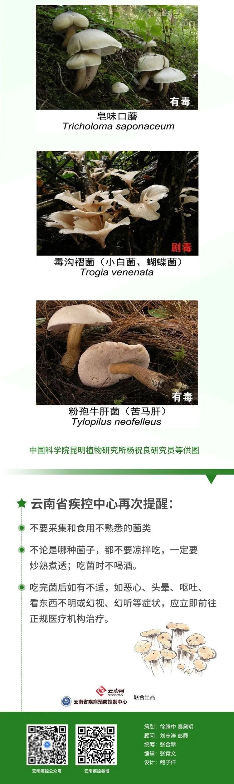 被AI识别为“无毒”后,一家三口放心吃下剧毒蘑菇!9岁男孩肝衰竭进ICU抢救8天… 被AI识别为“无毒”后,一家三口放心吃下剧毒蘑菇!9岁男孩肝衰竭进ICU抢救8天…