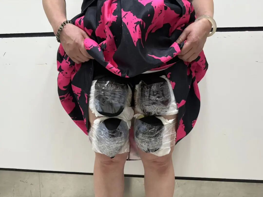 8名女子藏53只活体龟入境,被深圳湾海关查获 8名女子藏53只活体龟入境,被深圳湾海关查获