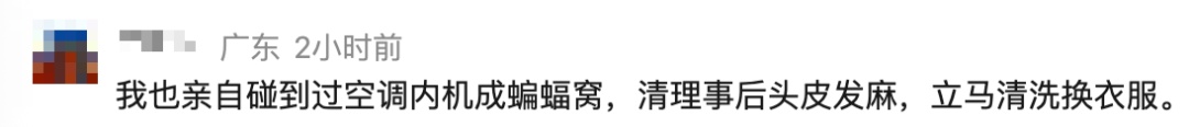 "吓得浑身发麻"!工人拆开空调盖板,十几只蝙蝠…很多人遇到过 "吓得浑身发麻"!工人拆开空调盖板,十几只蝙蝠…很多人遇到过