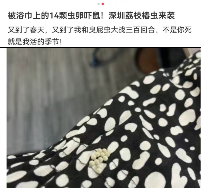 男子一觉醒来枕巾长“多肉”,吓得把枕巾丢了,紧急提醒:近期大量出现,别用手摸! 男子一觉醒来枕巾长“多肉”,吓得把枕巾丢了,紧急提醒:近期大量出现,别用手摸!