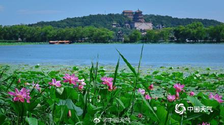 夏日限定 北京颐和园赏荷正当时