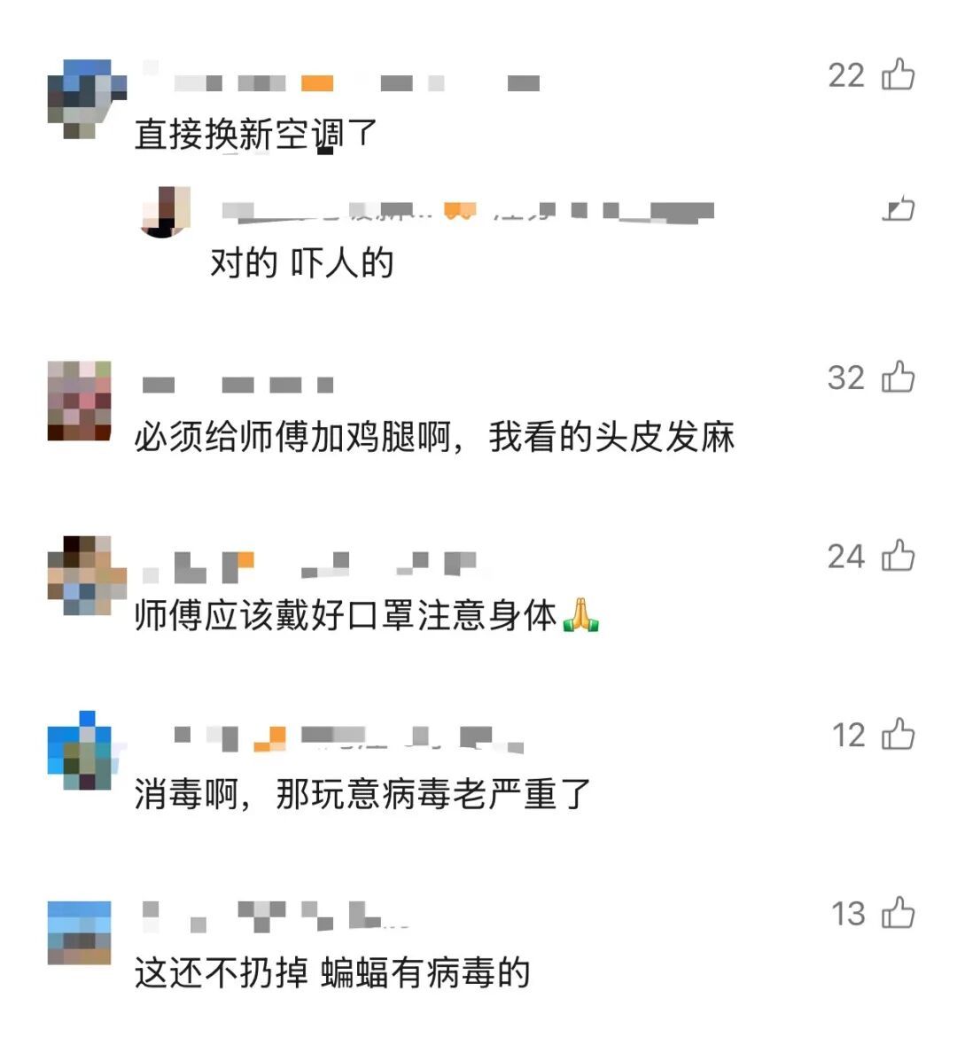 “以为是老鼠，结果掏出十几只蝙蝠” 男子洗空调被吓得浑身发麻！