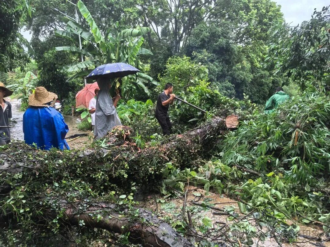 南宁警备区火速集结民兵，奔赴横州抢险救援