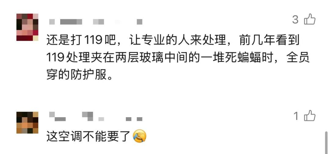 “以为是老鼠，结果掏出十几只蝙蝠” 男子洗空调被吓得浑身发麻！