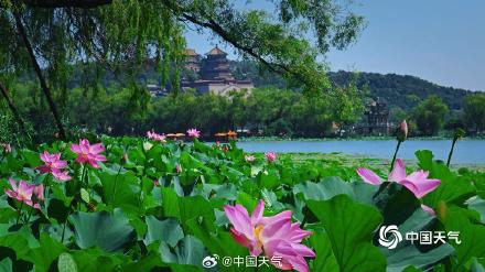 夏日限定 北京颐和园赏荷正当时