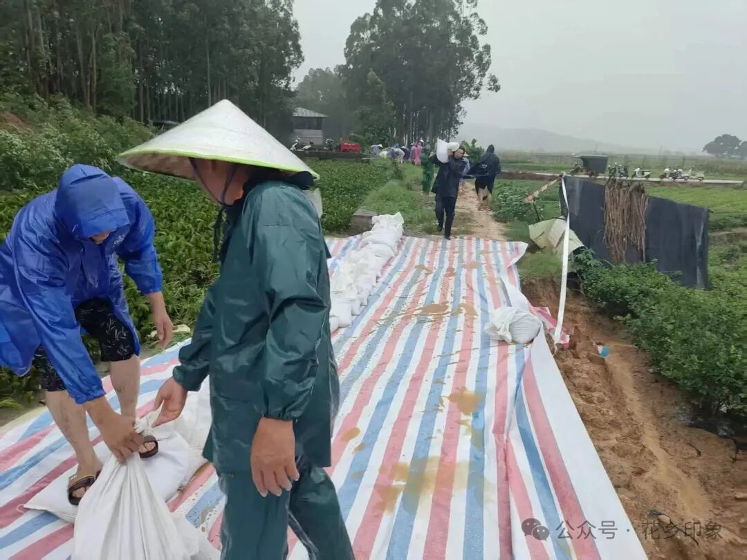 南宁警备区火速集结民兵，奔赴横州抢险救援