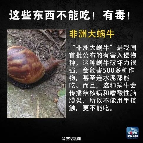 有毒！无解药！多地有人中招！疾控部门提醒：颜色越深，毒性越强
