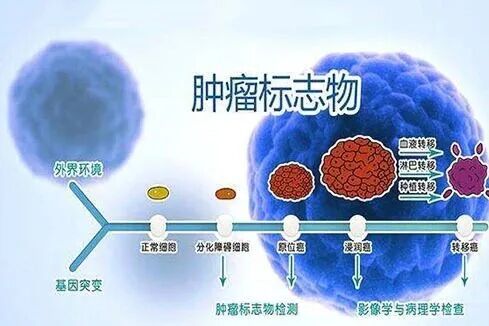 肿瘤标志物升高就是癌症吗? 肿瘤标志物升高就是癌症吗?