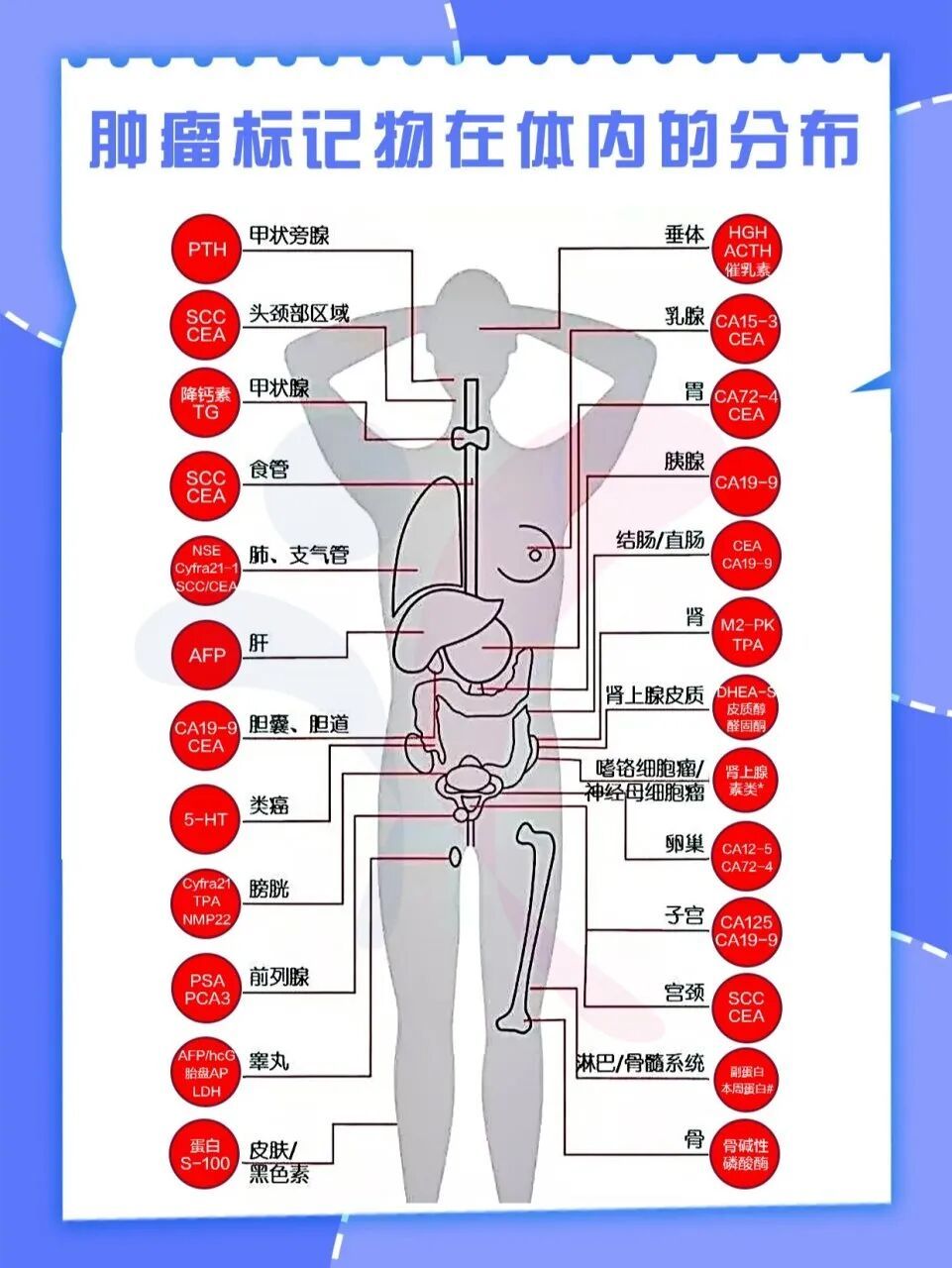 肿瘤标志物升高就是癌症吗? 肿瘤标志物升高就是癌症吗?