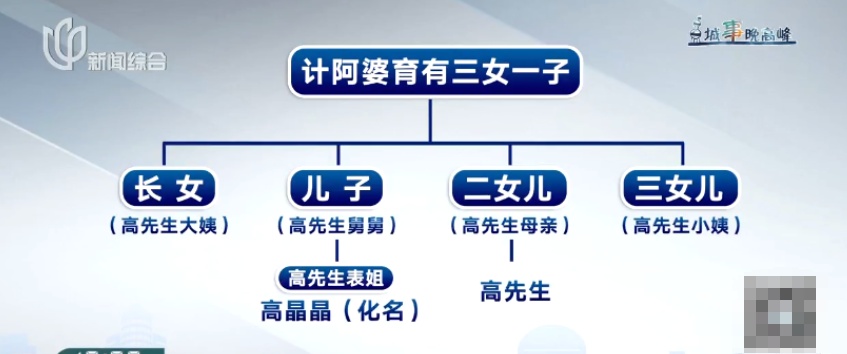 独生子女不等于唯一继承人!男子母亲去世后留下三套房,表姐竟然来争,因一个关键细节 独生子女不等于唯一继承人!男子母亲去世后留下三套房,表姐竟然来争,因一个关键细节