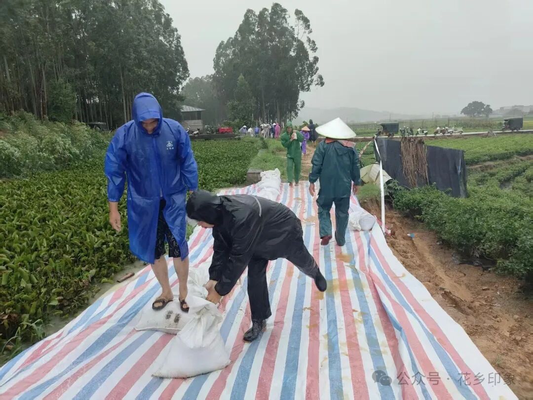 南宁警备区火速集结民兵，奔赴横州抢险救援