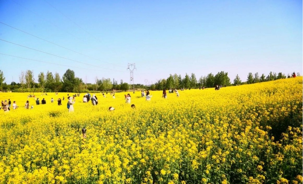 绿脉穿城，幸福栖居｜九楔赋能人居环境升级