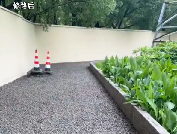 不愧上海速度，服了！“西装爷叔”让路热搜，等来一个谁也没想到的结局！