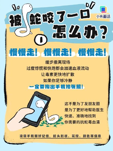 被蛇咬伤千万别用嘴吸！