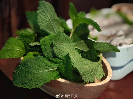 薄荷的两种神仙吃法 薄荷的两种神仙吃法