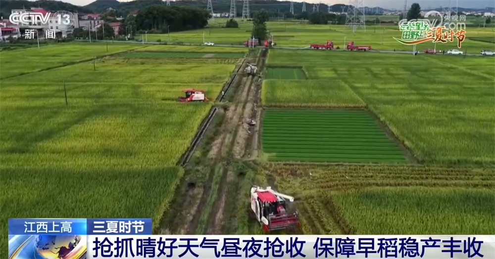 “多点发力”全力保障早稻稳产丰收 特色产业“智慧化”鼓起群众“钱袋子” “多点发力”全力保障早稻稳产丰收 特色产业“智慧化”鼓起群众“钱袋子”