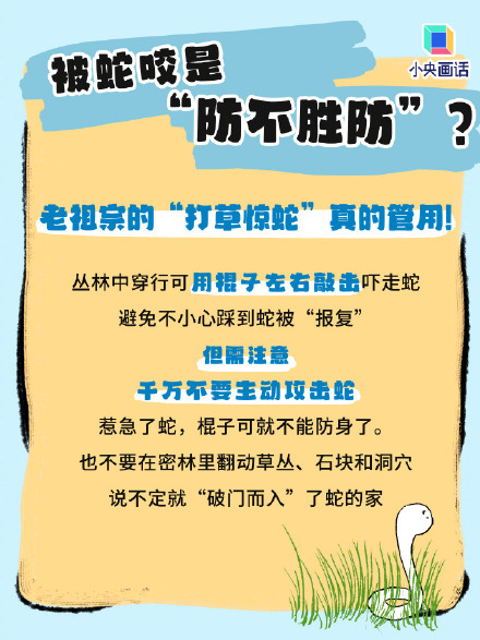 被蛇咬伤千万别用嘴吸！