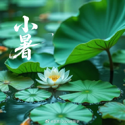 小暑饮食推荐：健脾化湿清心火，益气养阴消暑热