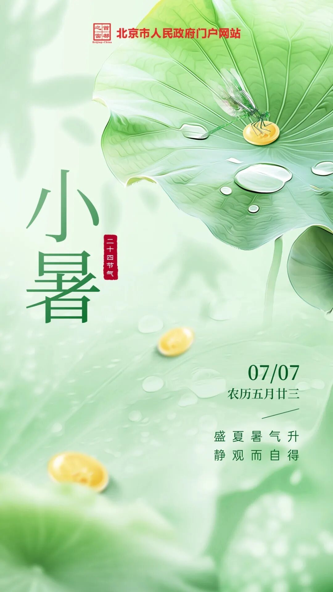 今日9点57分，我们迎来小暑