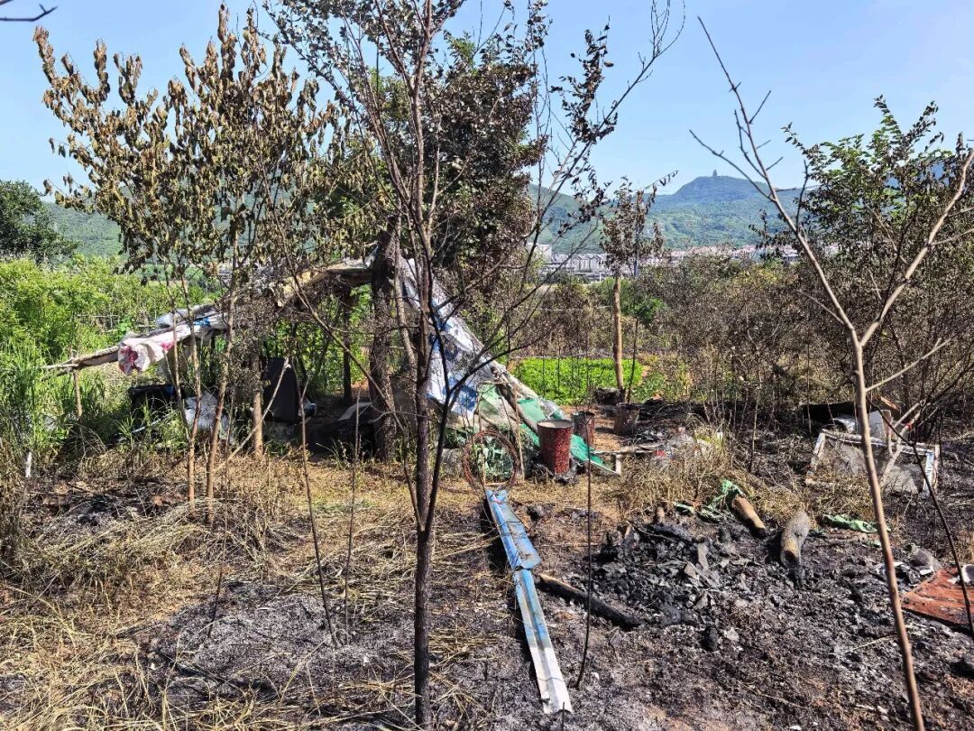 门头沟潭柘寺镇发生一起杂草火情 系村民违规点燃艾草所致 门头沟潭柘寺镇发生一起杂草火情 系村民违规点燃艾草所致