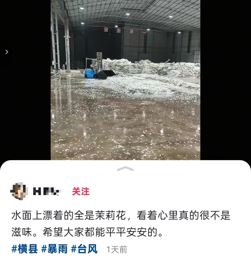 广西横州遭遇洪灾,全国超八成茉莉原料产自这里,当地花农发声:“目前已无法采摘” 广西横州遭遇洪灾,全国超八成茉莉原料产自这里,当地花农发声:“目前已无法采摘”