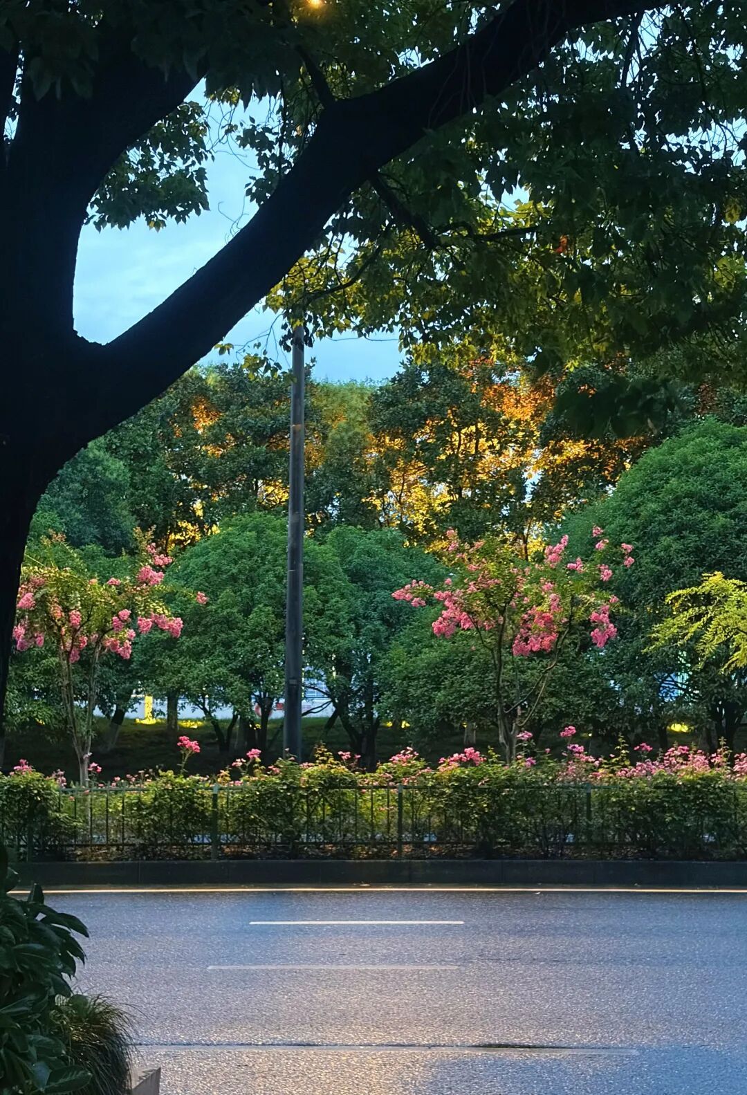 超强台风“巴威”或在浙江登陆！杭州将有明显风雨过程，市防指发布重要提醒！