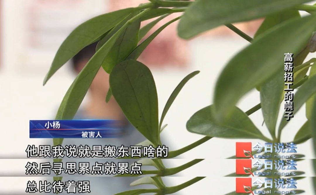 为了骗你的385元“保险费”，他们居然真给你找了份工作
