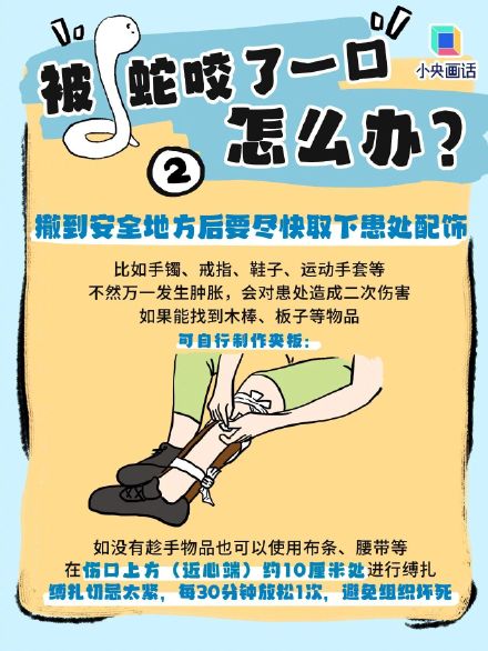 被蛇咬伤千万别用嘴吸！