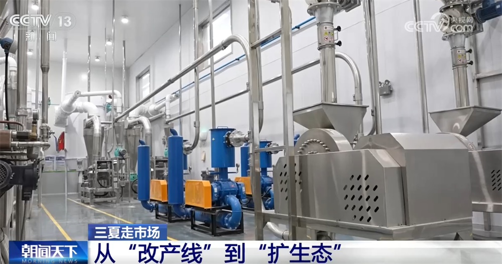 “三夏”走市场看“新”变化 小麦“活力”指标带动从田间到车间全链条联动