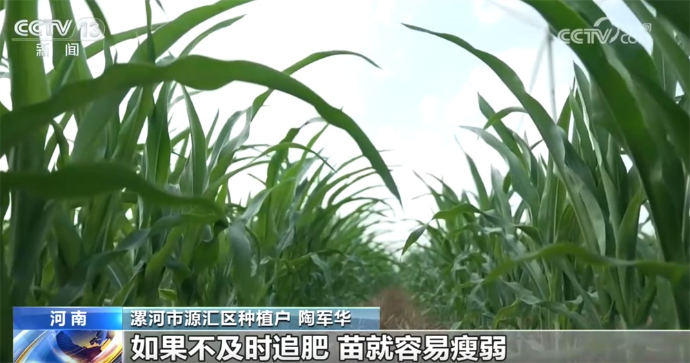 民谚藏智慧 “小暑”解民俗 一起探寻节气里的科学密码