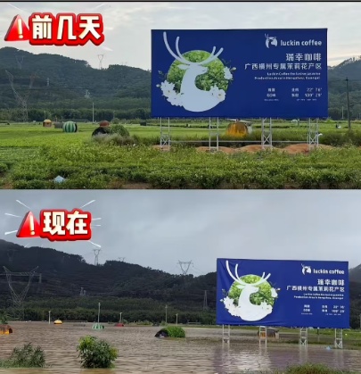 广西横州遭遇洪灾,全国超八成茉莉原料产自这里,当地花农发声:“目前已无法采摘” 广西横州遭遇洪灾,全国超八成茉莉原料产自这里,当地花农发声:“目前已无法采摘”