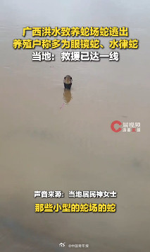 广西横州一养蛇场被冲有蛇出逃 当地回应