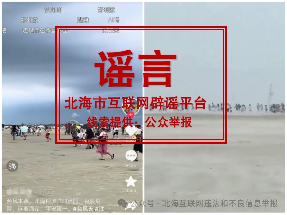 假的!全是假的! 假的!全是假的!