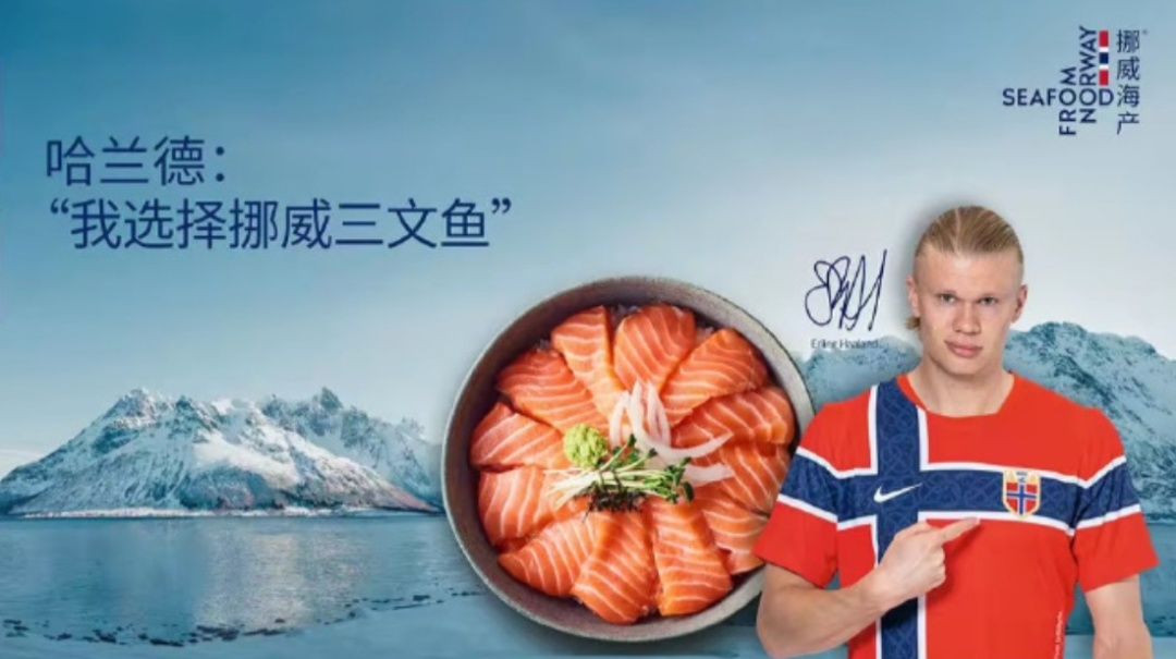 “哈兰德食谱”曝光,普通人能否照搬? “哈兰德食谱”曝光,普通人能否照搬?