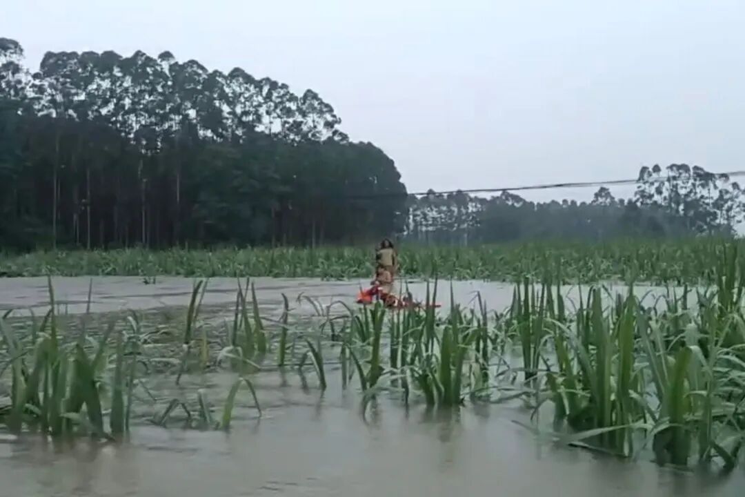 闻汛而动!广西公安全力抗洪救灾 闻汛而动!广西公安全力抗洪救灾