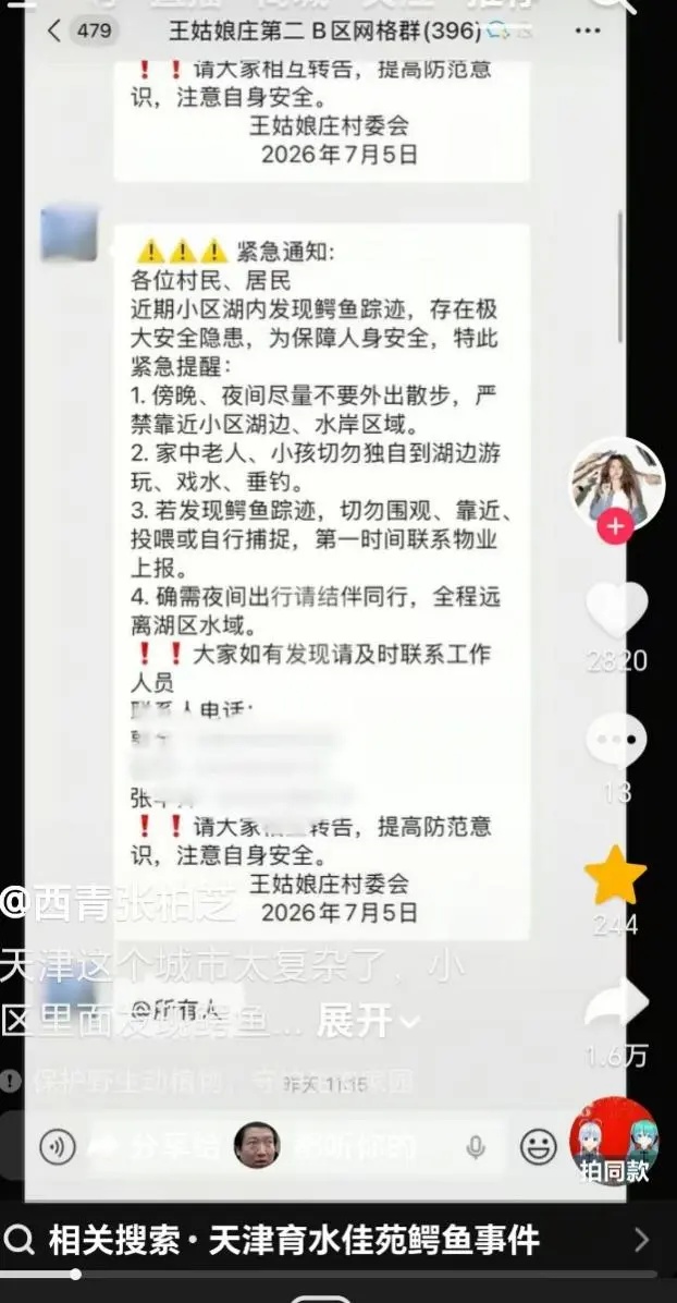 天津通报:鳄鱼,抓到了! 天津通报:鳄鱼,抓到了!