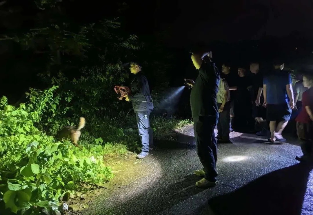 九旬老人滞留深山险失温,13小时彻夜搜救迎来团圆 九旬老人滞留深山险失温,13小时彻夜搜救迎来团圆