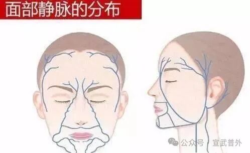 面部“小疙瘩”,千万别乱挤! 面部“小疙瘩”,千万别乱挤!