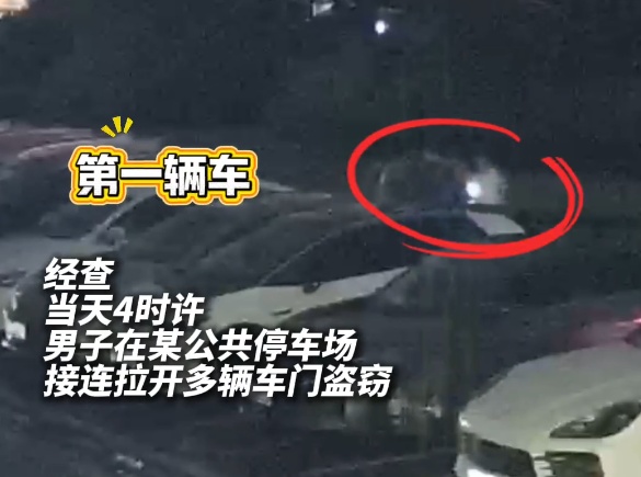 小偷:反铐我手痛...民警:伸手时怎么不想想后果! 小偷:反铐我手痛...民警:伸手时怎么不想想后果!