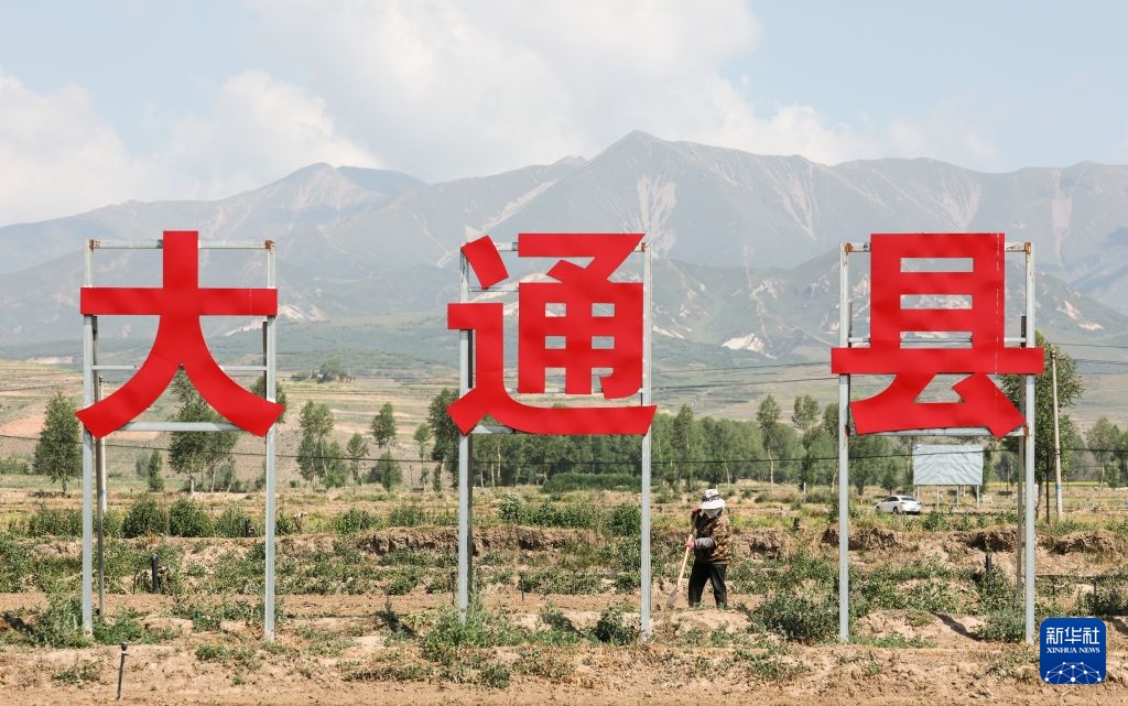 美丽中国行·探访三江源|冷凉蔬菜成高原乡村“热产业” 美丽中国行·探访三江源|冷凉蔬菜成高原乡村“热产业”