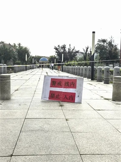 天津通报:鳄鱼,抓到了! 天津通报:鳄鱼,抓到了!