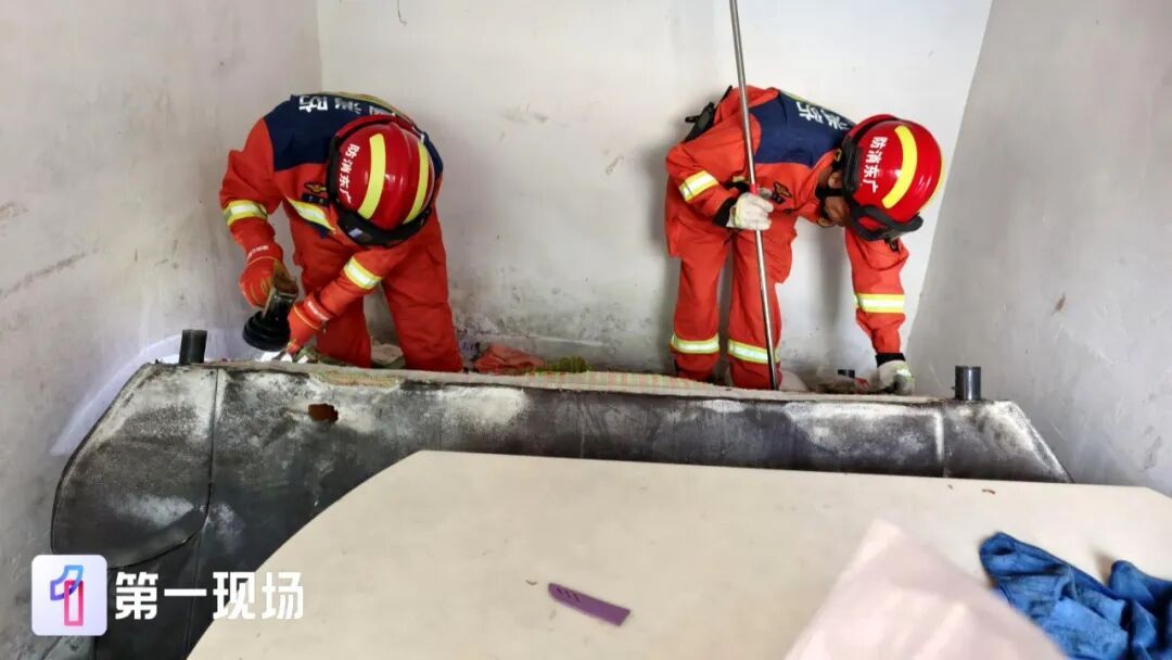 吓出冷汗!大蛇藏身于沙发缝隙,消防员精准抓捕 吓出冷汗!大蛇藏身于沙发缝隙,消防员精准抓捕