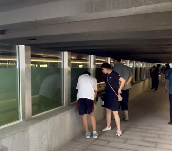 积水潭“大鱼缸”走红!市民担心暴雨来袭水会漫进廊道,官方回应 积水潭“大鱼缸”走红!市民担心暴雨来袭水会漫进廊道,官方回应