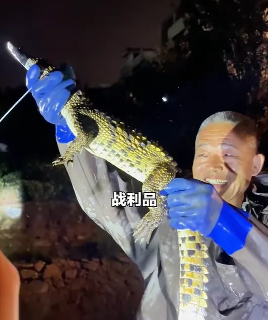 厉害 | 抓鳄鱼的天津大爷!是他! 厉害 | 抓鳄鱼的天津大爷!是他!